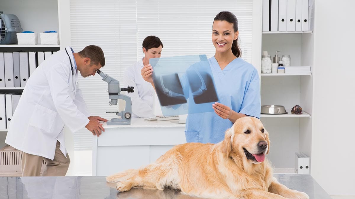 Animal Sample Management