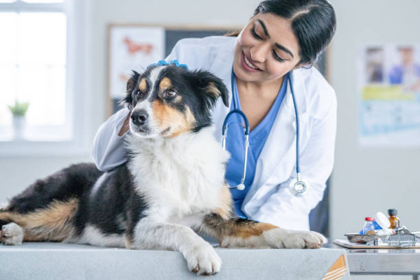 Veterinary LIMS